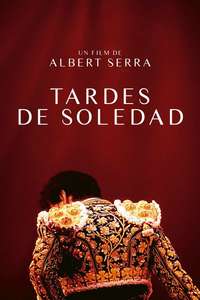 Afternoons of Solitude - Posters