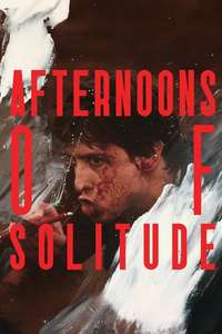 Afternoons of Solitude - Posters