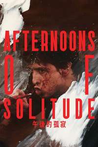 Afternoons of Solitude - Posters