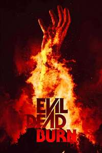 Evil Dead Burn - Posters