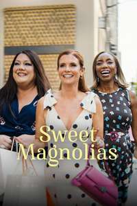 Sweet Magnolias - Posters