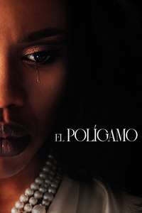 The Polygamist - Posters