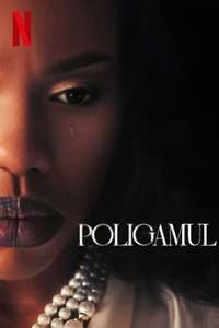 The Polygamist - Posters