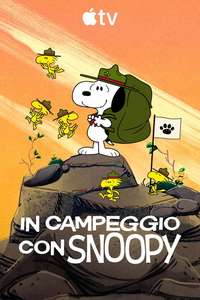 Camp Snoopy - Posters