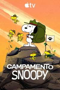 Camp Snoopy - Posters