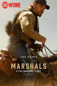 Y: Marshals - Posters