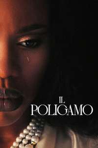 The Polygamist - Posters