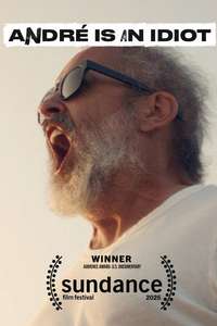 André Is an Idiot - Posters
