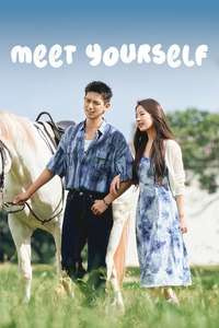 Meet Yourself - Posters