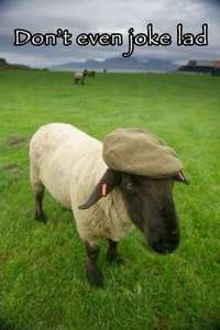 The Sheep Detectives - Posters