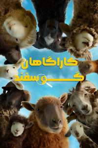The Sheep Detectives - Posters