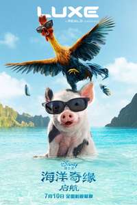 Moana - Posters