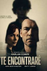 I Will Find You - Posters