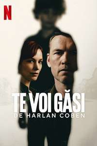 I Will Find You - Posters