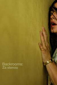 Backrooms - Posters