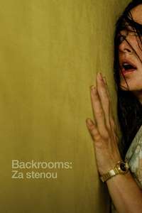 Backrooms - Posters