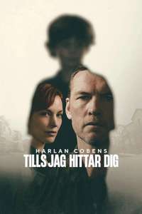 I Will Find You - Posters