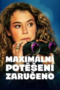 Maximum Pleasure Guaranteed - Posters