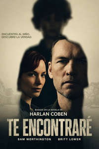 I Will Find You - Posters