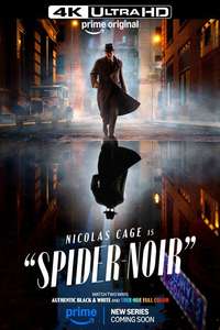 Spider-Noir - Posters