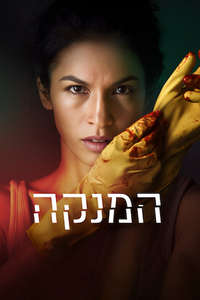 The Cleaning Lady - Posters