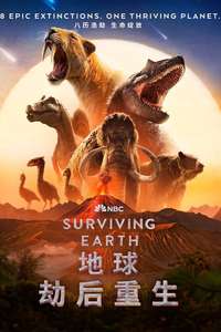 Surviving Earth - Posters