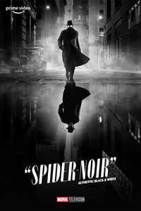 Spider-Noir - Posters
