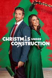 Renovation Romance - Posters