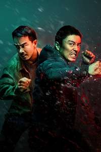 The Furious - Posters