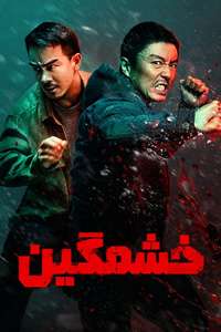 The Furious - Posters