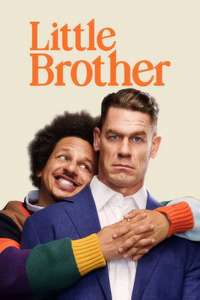 Little Brother - Posters