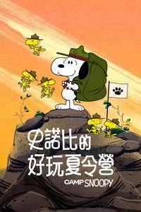 Camp Snoopy - Posters