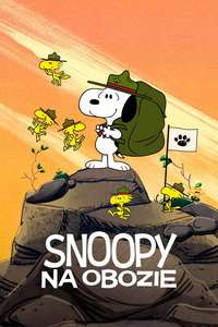 Camp Snoopy - Posters