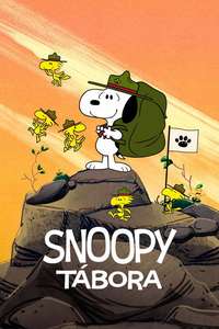 Camp Snoopy - Posters