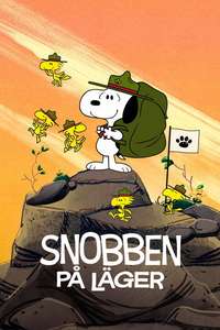 Camp Snoopy - Posters
