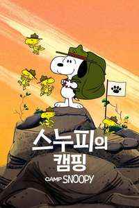 Camp Snoopy - Posters