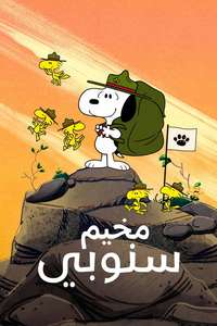 Camp Snoopy - Posters