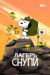 Camp Snoopy - Posters