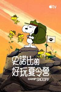 Camp Snoopy - Posters