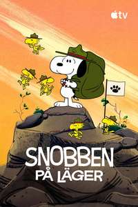 Camp Snoopy - Posters