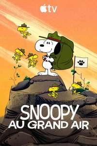 Camp Snoopy - Posters