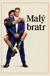 Little Brother - Posters