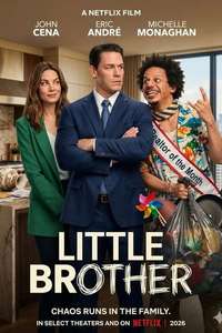 Little Brother - Posters