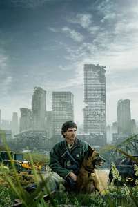 The Dog Stars - Posters