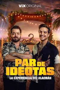 Par de Ideotas - Posters