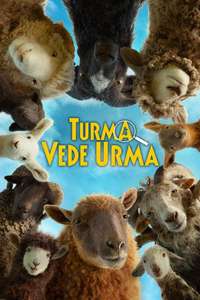 The Sheep Detectives - Posters