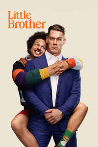 Little Brother - Posters