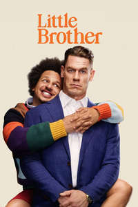 Little Brother - Posters