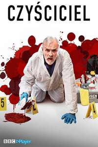 The Cleaner - Posters