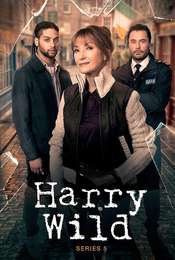 Harry Wild Series 5
